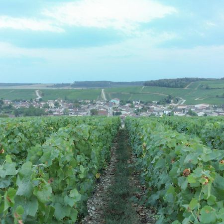 Une Parenthese En Champagne Jaucourt Eksteriør billede