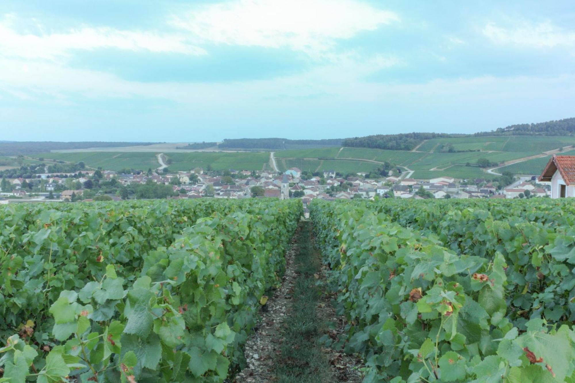 Une Parenthese En Champagne Jaucourt Eksteriør billede